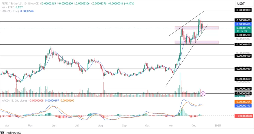 Pepe Price Analysis 13th December 2024